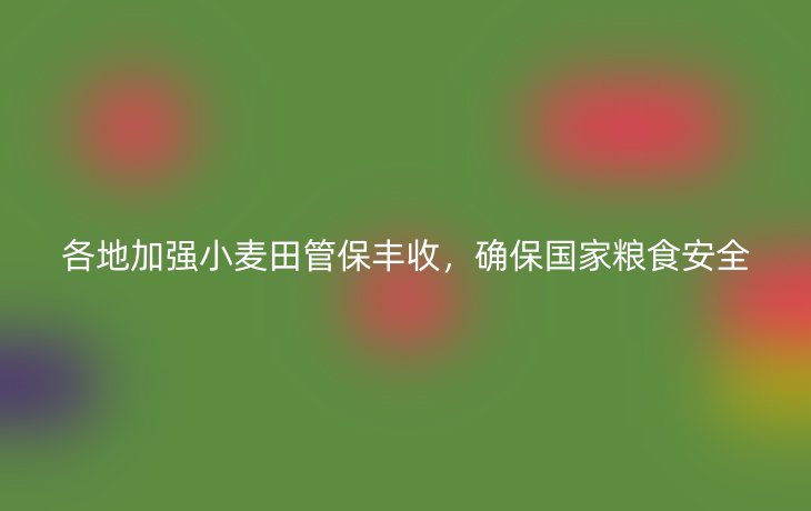 各地加强小麦田管保丰收,确保国家粮食安全_现代网新闻频道