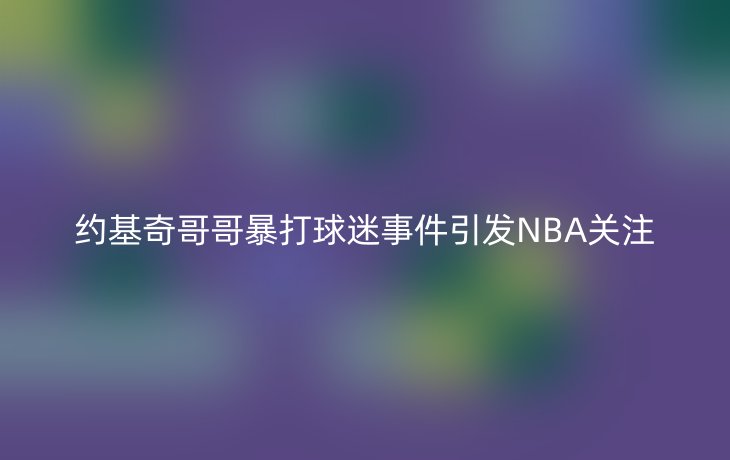 约基奇哥哥暴打球迷事件引发NBA关注_现代网新闻频道