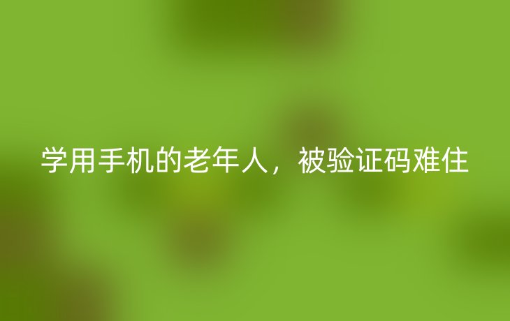 学用手机的老年人,被验证码难住_现代网新闻频道