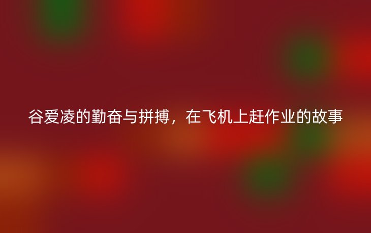 谷爱凌的勤奋与拼搏,在飞机上赶作业的故事_现代网新闻频道
