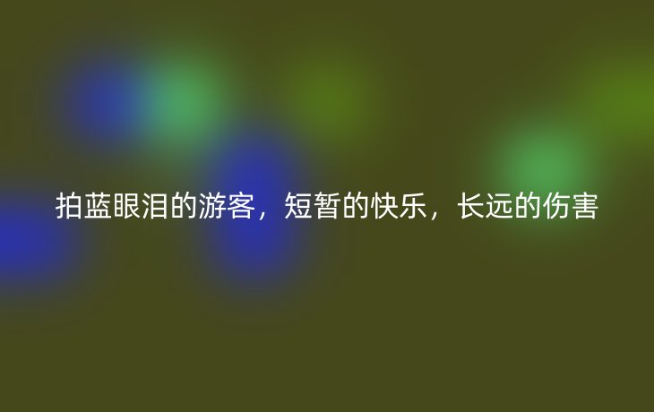 拍蓝眼泪的游客,短暂的快乐,长远的伤害_现代网新闻频道