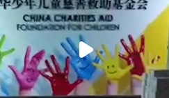 已立案！儿慈会河北负责人疑卷走千万救命款