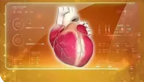 睡眠超9小时会让身体出现各种问题:科学睡眠的重要性_现代网新闻频道