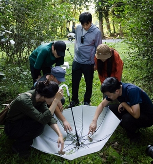 胡歌开了家昆虫酒店:明星跨界创业,昆虫酒店为何成新宠?_现代网新闻频道