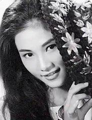 奥斯卡缅怀郑佩佩:一代武侠女星的传奇人生_现代网新闻频道