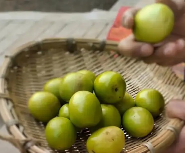 【秋日鲜果宴】青枣创意食谱大公开!从果盘到甜品的完美蜕变_现代网新闻频道