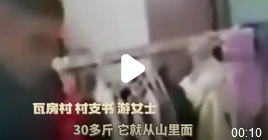 30多斤黄麂误入村民家,多方合力救助放归山林_现代网新闻频道