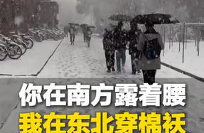 东北三月末奇景：鹅毛大雪纷飞，春意盎然中的冬日余韵_现代网新闻频道