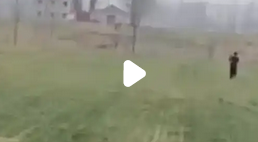 5岁女儿拍妈妈独自干活发给爸爸：家庭责任与儿童教育的反思_现代网新闻频道