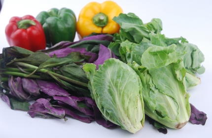 夏季蔬菜品种大全:适合夏季种植的蔬菜推荐_现代网新闻频道