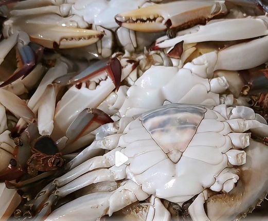 水煮鱼片怎样做好吃_现代网新闻频道