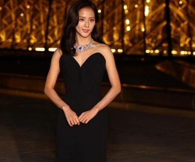 金智秀卢浮宫慈善晚宴，明星公益活动的社会影响与意义_现代网新闻频道