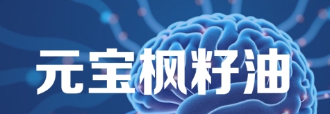 元宝枫籽油厂家在什么地方？揭秘优质元宝枫籽油的产地与品牌_现代网新闻频道