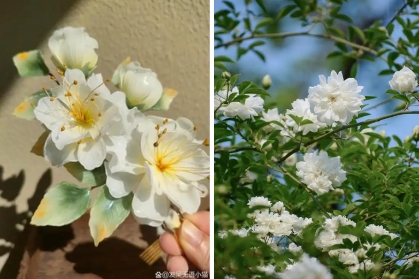 荼蘼花语:开到荼蘼花事了,禅意与悲美的双重绽放_现代网新闻频道
