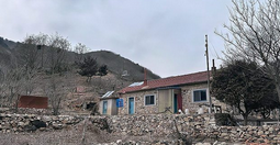 22年坚守,六旬夫妻为荒山披上绿装——山东一对夫妇的绿色传奇_现代网新闻频道