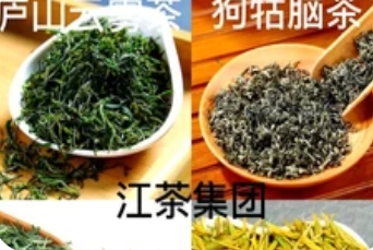 江西什么茶叶最出名?这4款千年名茶,喝过才算懂茶人_现代网新闻频道