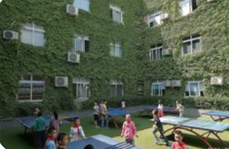 森林幼儿园的教育革命:武汉