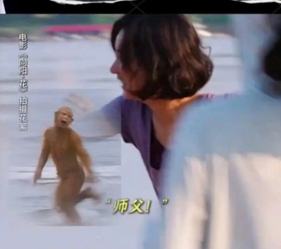 赵丽颖模仿孙悟空海边奔跑：一场跨越次元的童心狂欢_现代网新闻频道