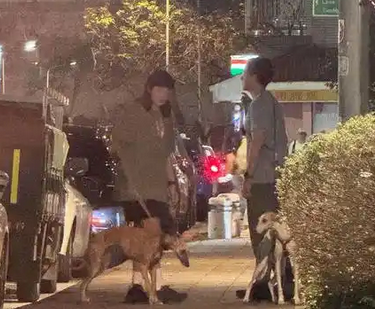 网友偶遇彭于晏与女生遛狗_现代网新闻频道