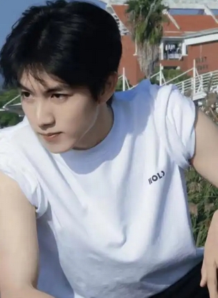 赵一博哽咽向粉丝鞠躬道歉,明星与粉丝关系引思考_现代网新闻频道