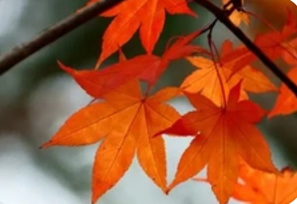 fe07eee1f020250310192211