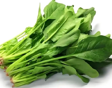 舌尖上的碧玉:六种菠菜料理的美味哲学_现代网新闻频道