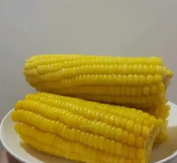 玉米怎么煮,煮多久_现代网新闻频道