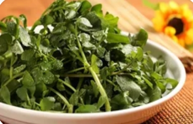 西洋菜汤:清润鲜香的养生佳品_现代网新闻频道