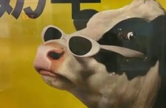 “认养一头牛”广告风 波：创意与误 解的碰撞_现代网新闻频道