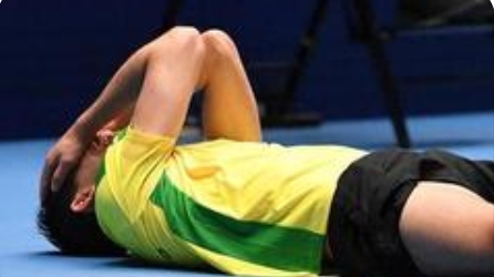 雨果回应世界杯夺冠：梦想照进现实的荣耀时刻_现代网新闻频道