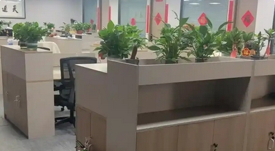 “假装上班公司”悄然兴起_现代网新闻频道