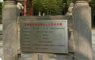 洛阳文旅确认白马寺内为狄仁杰墓_现代网新闻频道
