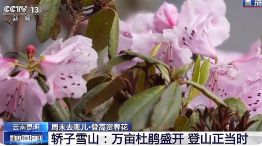 华山景区引进先进爬山设备，提升游客登山体验_现代网新闻频道