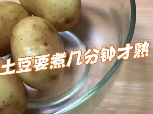 土豆炖多久能熟透_现代网新闻频道