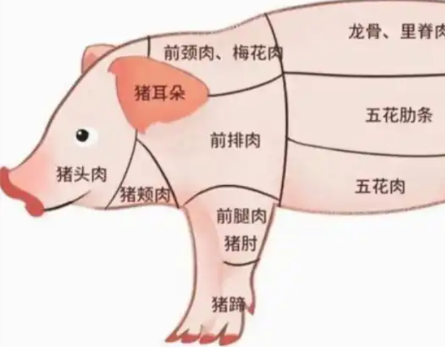 筒骨高压锅压几分钟_现代网新闻频道