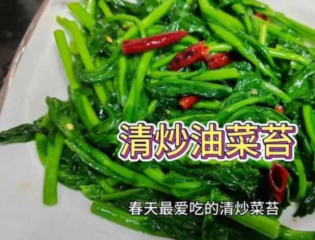 清炒苔菜的家常做法_现代网新闻频道