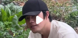 “泉州菜伦”走红网络:撞脸周杰伦,自称“种地是专业”_现代网新闻频道