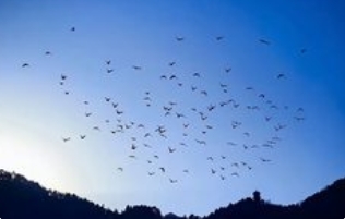 春季睡眠新法则：晚睡早起背后的中医时辰智慧_现代网新闻频道