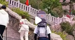 泰山“陪爬”小伙日入千元背后_现代网新闻频道