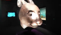 圆明园七大兽首首次亮相合肥,海外回流文物特展引发观展热潮_现代网新闻频道