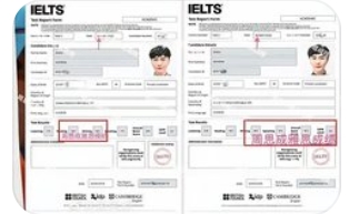 周思成回应雅思写作考不到8.5：直播查分破谣言，用实力终结“造 假”质疑_现代网新闻频道