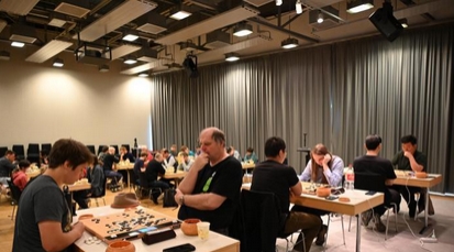 第十三届柏林“中国杯”围棋大赛落幕_现代网新闻频道