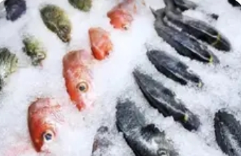 一季度冷链物流同比增长4.0%，行业保持稳健增长_现代网新闻频道