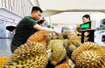 2025泰国精品购物节及榴莲节在南宁举行_现代网新闻频道