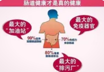 科普!如何守护肠道健康_现代网新闻频道