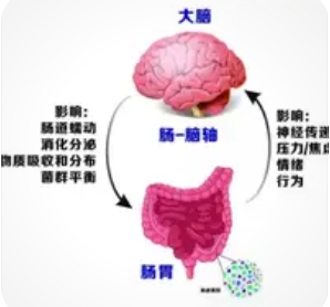 4a47a0db6e20250529141735