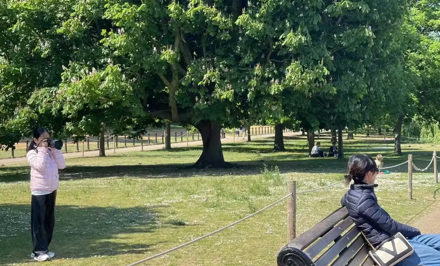 孙俪分享女儿小花镜头下的自己,黑羽绒服造型尽显松弛生活美学_现代网新闻频道