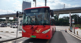 武汉5201314公交：见证情侣爱情新征程_现代网新闻频道