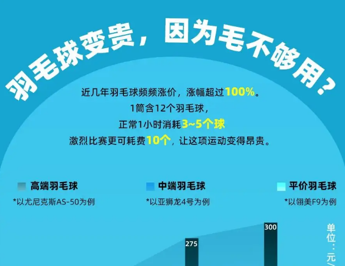 羽毛球为何能突破300元高价_现代网新闻频道