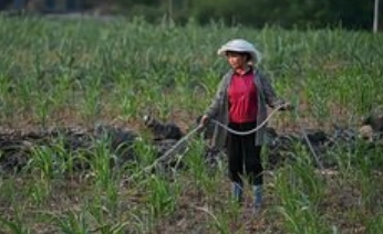 广西科学调度保障春灌面积1373.53万亩_现代网新闻频道